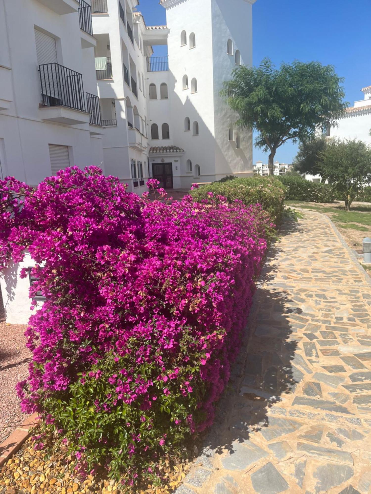 La Casa Rosita, Hacienda Riquelme Golf Resort Sucina ムルシア エクステリア 写真